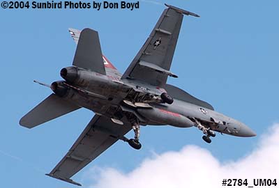 USN F/A-18 Hornet #162904 VFA-201 over Miami Lakes military aviation stock photo #2784