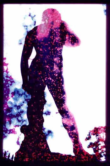 Davids Last Stand  from The Altered States Portfolio