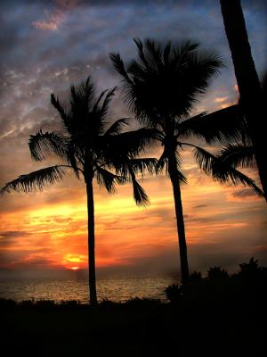 Sunset in Puerto Vallarta