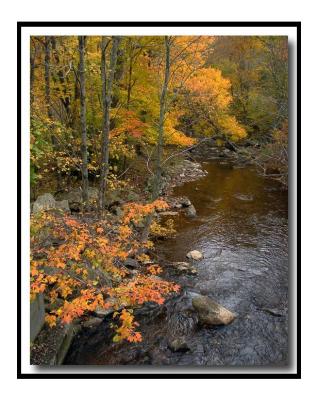 Fall colors in SW Virginia