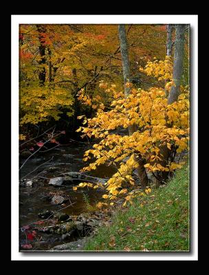 Autumn Tranquility