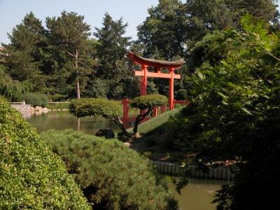 Japanese gardens 4