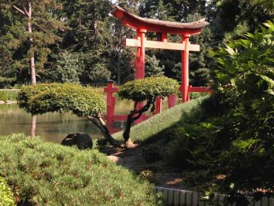 Japanese gardens 5