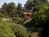 Japanese gardens 4