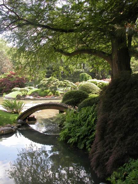 Japanese gardens 2
