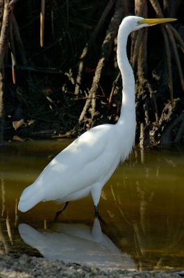 _DSC2024web.jpg