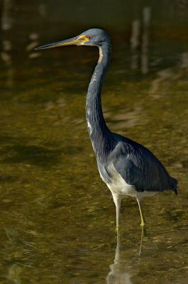 _DSC2034web.jpg