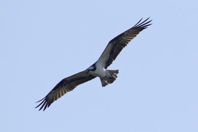 DSC_2612web.jpg
