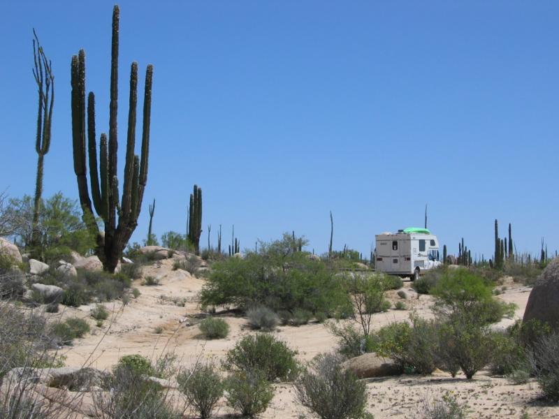 Checking out the desert in Catavina bolder field
