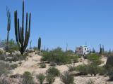 Checking out the desert in Catavina bolder field