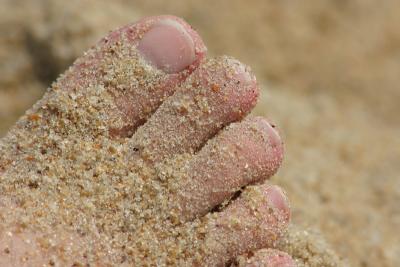 Toes