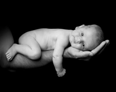 GF351132bw.jpg