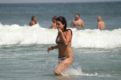 wildwood