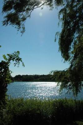 Aug 19/04 Sunnyside Beach and High Park (temp)