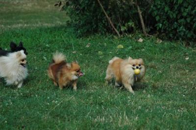 Aug22_04_308.JPG