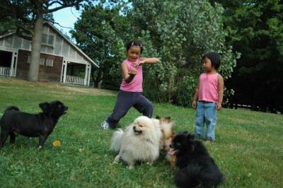 Aug22a_04_030.JPG