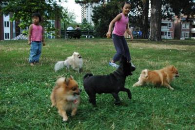 Aug22a_04_091.JPG