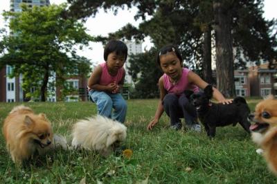 Aug22a_04_101.JPG