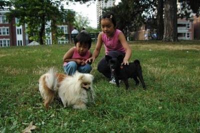 Aug22a_04_107.JPG