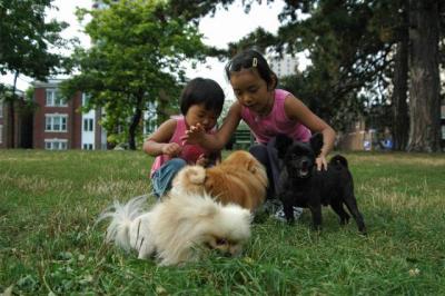 Aug22a_04_111.JPG