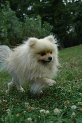 Aug22a_04_393.JPG