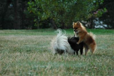 u8/billmcintyre/medium/32908810.Aug22a_04_560.jpg