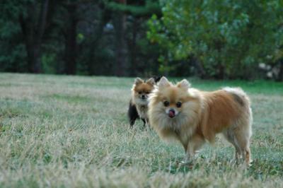Aug22a_04_607.JPG