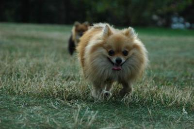 Aug22a_04_609.JPG
