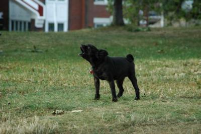 Aug22a_04_642.JPG