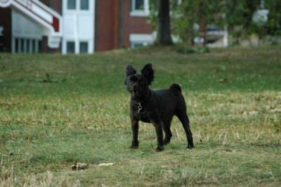Aug22a_04_643.JPG