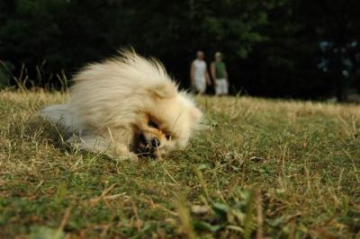 Aug22a_04_665.JPG