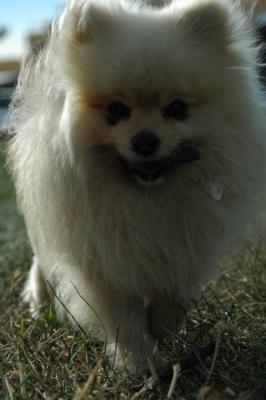 Aug22b_04_051.JPG
