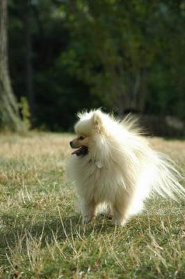 Aug22b_04_090.JPG