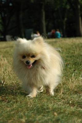 Aug22b_04_105.JPG