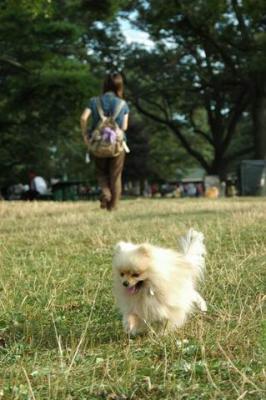 Aug22b_04_157.JPG