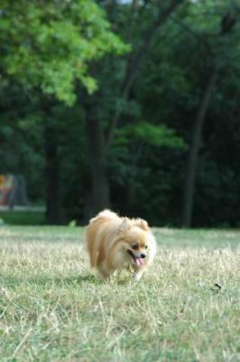 Aug22b_04_177.JPG
