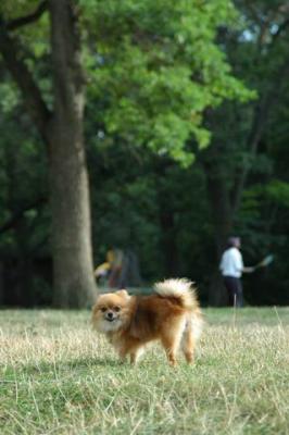 Aug22b_04_203.JPG