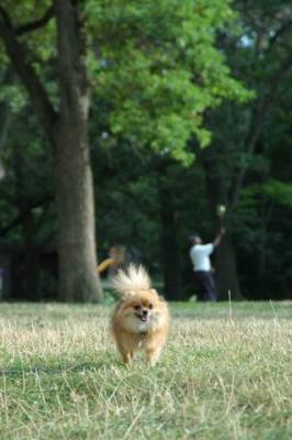 Aug22b_04_205.JPG