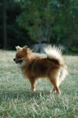 Aug22b_04_218.JPG