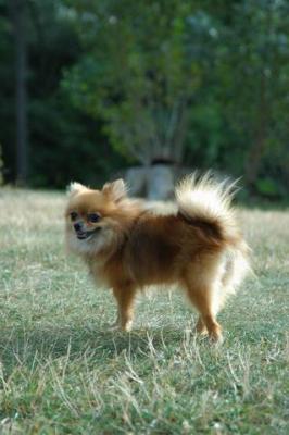 Aug22b_04_220.JPG