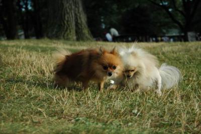 Aug22b_04_233.JPG