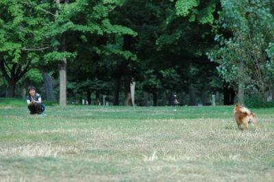 Aug22b_04_260.JPG