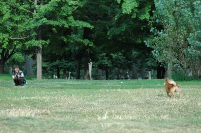 Aug22b_04_261.JPG