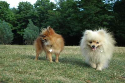 Aug22b_04_338.JPG
