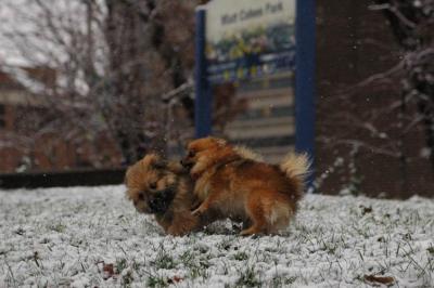 Dec11_04_030.JPG