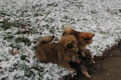 Dec11_04_045.JPG