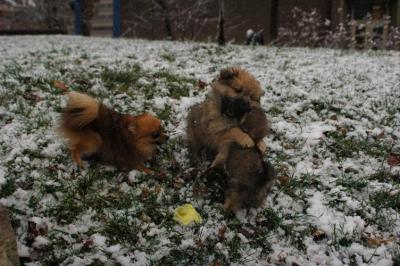 Dec11_04_050.JPG