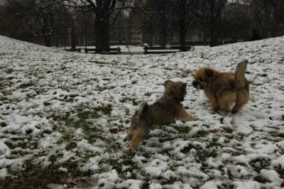 Dec12_04_045.JPG