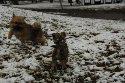 Dec12_04_048.JPG