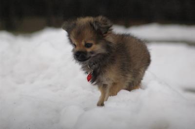 Dec13_04_147.JPG